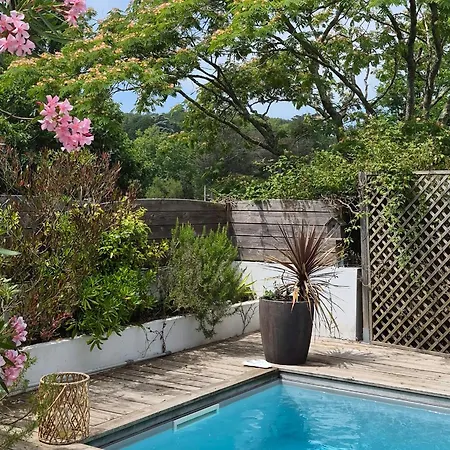 Bed & Breakfast Confortable Piscine Maison Etxecosy